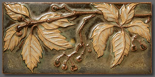 Virginia Creeper