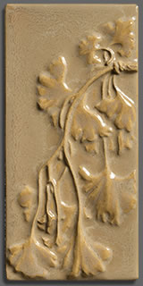 Ginkgo 1