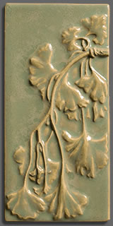 Ginkgo 1