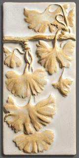 Ginkgo 4